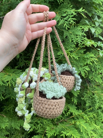 Hanging Plants (for Car)